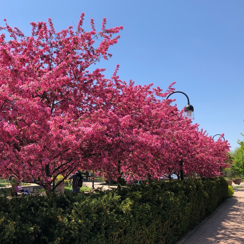 Meet your Posher, Sylvia